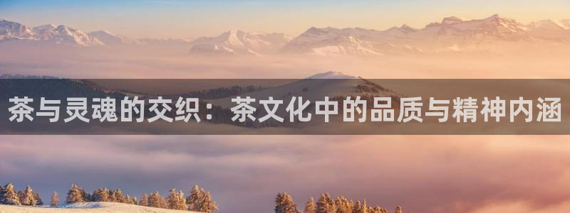 鸿运购彩专业平台