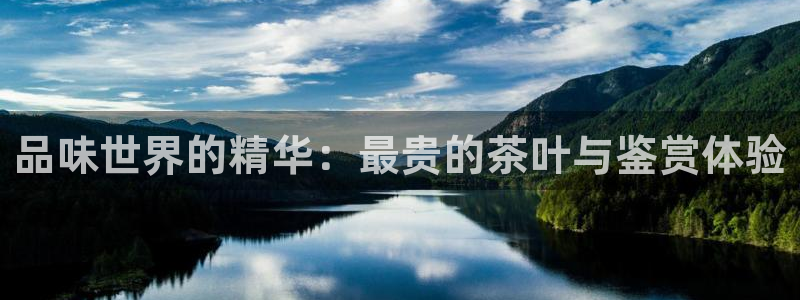 鸿运平台刷流水
