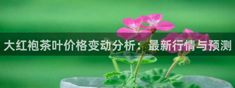 鸿运国际平台台