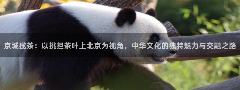 鸿运体彩平台