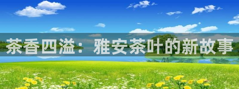 鸿运网站平台