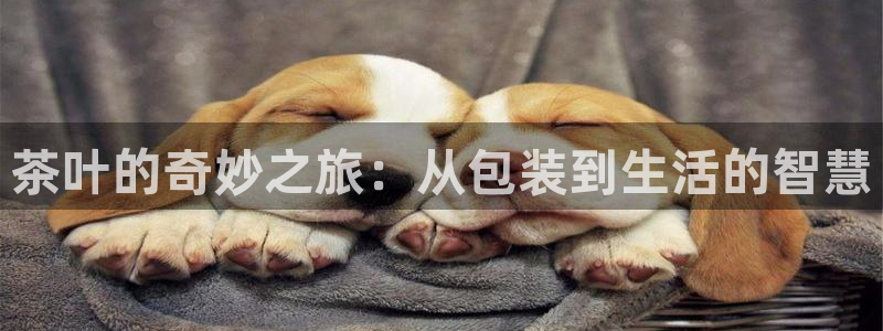 鸿运彩票平台怎样
