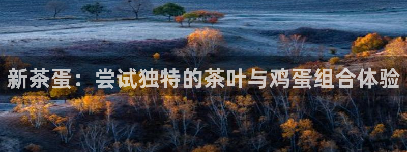 鸿运平台app下载