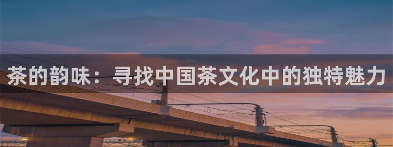 鸿运彩票平台的网址