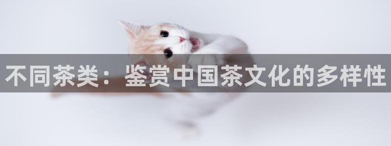 大发鸿运平台