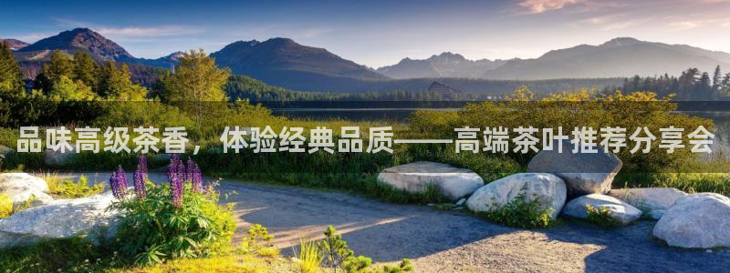 彩票鸿运直播平台