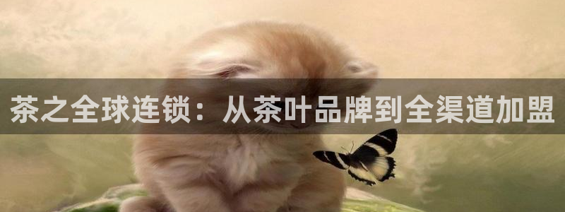 鸿运平台骗局曝光案例