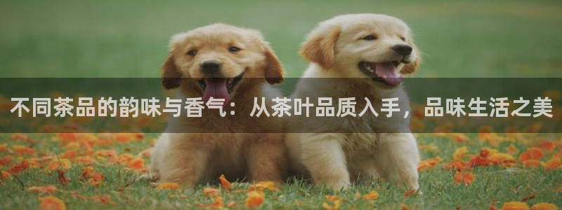 鸿运平台怎么赚钱