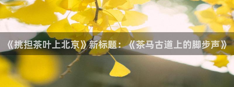 鸿运兄弟创造平台