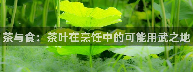 鸿运彩票专业购买平台