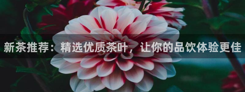 鸿运牛蹄团购平台