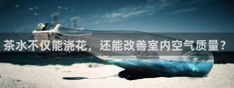 鸿运集团平台招聘要求