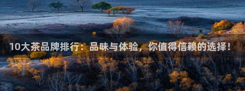 鸿运当头社交平台