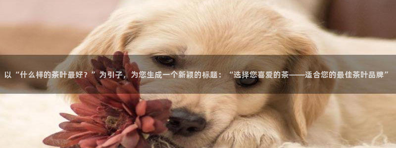 鸿运平台骗局曝光